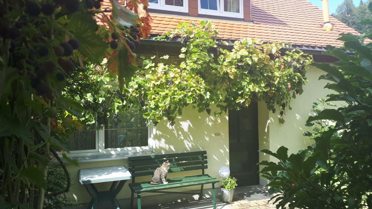 Ferienhaus Puttrich 霍恩斯泰因 外观 照片
